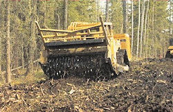 Raw Mulching Power!